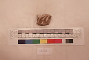 Stucco Fragment, Stucco; carved, painted