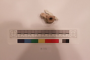 Stucco Fragment, Stucco; carved