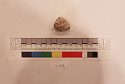 Stucco Fragment, Stucco; carved