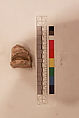 Stucco Fragment, Stucco; carved
