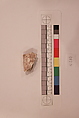 Stucco Fragment, Stucco; carved