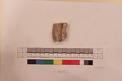 Stucco Fragment, Stucco; carved