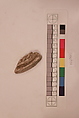Stucco Fragment, Stucco; carved