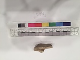 Stucco Fragment, Stucco; carved, painted