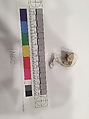 Stucco Fragment, Stucco; carved