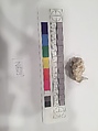 Stucco Fragment, Stucco; carved