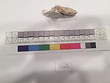 Stucco Fragment, Stucco; carved