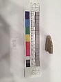 Stucco Fragment, Stucco; carved