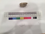 Stucco Fragment, Stucco; carved