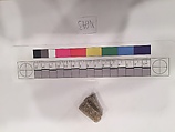 Stucco Fragment, Stucco; carved