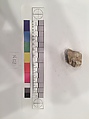 Stucco Fragment, Stucco; carved