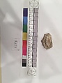 Stucco Fragment, Stucco; carved