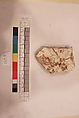 Stucco Fragment, Stucco; carved