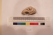 Stucco Fragment, Stucco; carved
