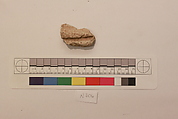 Stucco Fragment, Stucco; carved, painted (?)
