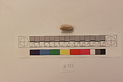 Stucco Fragment, Stucco; carved, painted