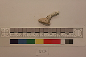 Stucco Fragment, Stucco; carved, painted (?)