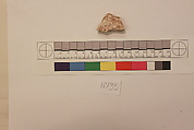 Stucco Fragment, Stucco; carved
