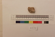 Stucco Fragment, Stucco; carved