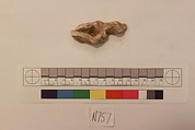 Stucco Fragment, Stucco; carved