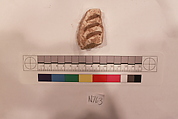 Stucco Fragment, Stucco; carved