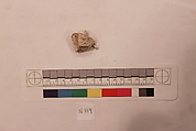 Stucco Fragment, Stucco; carved, painted (?)