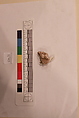 Stucco Fragment, Stucco; carved