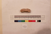 Stucco Fragment, Stucco; carved, painted
