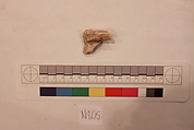 Stucco Fragment, Stucco; carved, painted