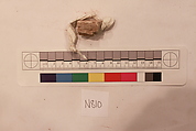 Stucco Fragment, Stucco; carved
