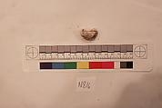 Stucco Fragment, Stucco; carved