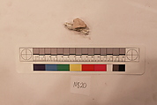 Stucco Fragment, Stucco; carved