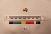 Stucco Fragment, Stucco; carved