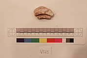 Stucco Fragment, Stucco; carved, painted?