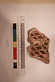 Stucco Fragment, Stucco; carved