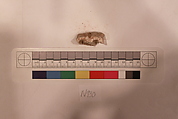 Stucco Fragment, Stucco; carved