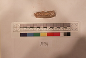 Stucco Fragment, Stucco; carved, painted