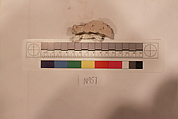 Stucco Fragment, Stucco; carved, painted