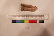 Stucco Fragment, Stucco; carved, painted