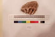 Stucco Fragment, Stucco; carved, painted