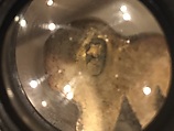 Fibula, Silver