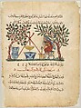 "Physician Preparing an Elixir", Folio from a Materia Medica of Dioscorides, &#39;Abdullah ibn al-Fadl, Ink, opaque watercolor, and gold on paper