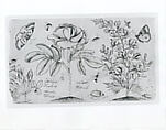 Drawing with Flowers, Butterflies, and Insects, Shafi' 'Abbasi (Iranian, Isfahan ca. 1628–ca. 1674), Ink on paper