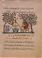 "Physician Preparing an Elixir", Folio from a Materia Medica of Dioscorides, &#39;Abdullah ibn al-Fadl, Ink, opaque watercolor, and gold on paper