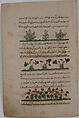 "Purple Amaranth and Watermelon", Folio from a Dispersed Nuzhatnama-i ‘Ala’i of Shahmardan ibn Abi’l Khayr, Shamardan ibn Abi &#39;l Khayr (Iranian, active late 11th–early 12th century), Ink, opaque watercolor, and gold on paper