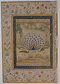 Shaikh Salim Chishti, Ink, opaque watercolor, and gold on paper