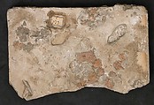 Fragment of a Frieze with Addorsed Lions, Gypsum plaster; molded, traces of painting
