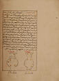 Kitab suwar al-kawakib al-thabita (Book of the Images of the Fixed Stars) of al-Sufi, `Abd al-Rahman al-Sufi (Iranian, Rey 903–986 Shiraz), Ink, opaque watercolor, and gold on paper