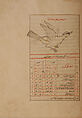 Kitab suwar al-kawakib al-thabita (Book of the Images of the Fixed Stars) of al-Sufi, `Abd al-Rahman al-Sufi (Iranian, Rey 903–986 Shiraz), Ink, opaque watercolor, and gold on paper