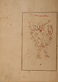 Kitab suwar al-kawakib al-thabita (Book of the Images of the Fixed Stars) of al-Sufi, `Abd al-Rahman al-Sufi (Iranian, Rey 903–986 Shiraz), Ink, opaque watercolor, and gold on paper